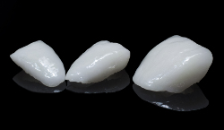 individual dental veneers on a black background